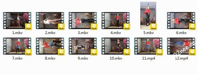 炫舞世家-大叶子 1期